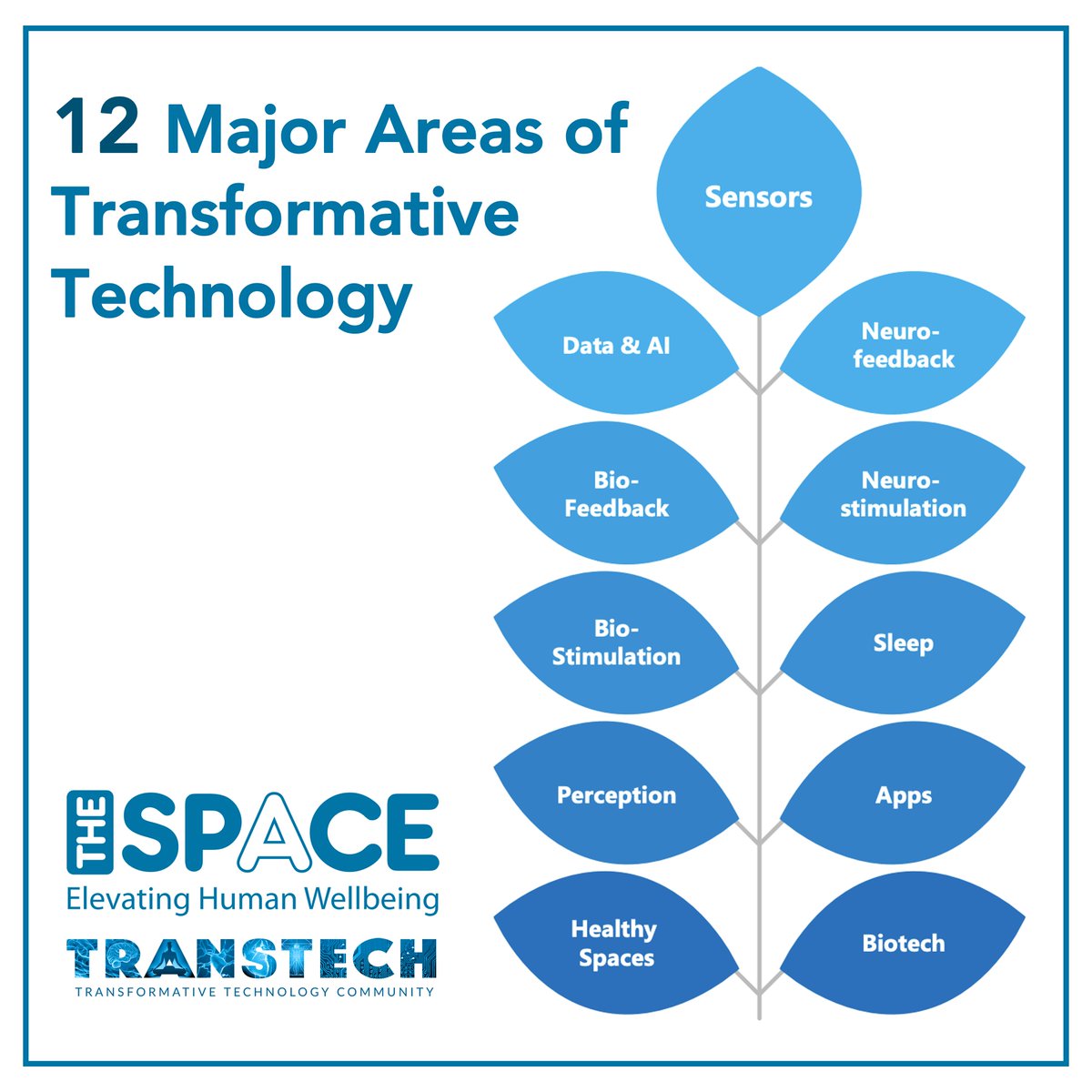 Emerging technologies are now here, we just have to point them in a new direction to elevate the wellbeing of humans and the planet.  

Do you play in this space or want to know more?  Connect and grow with us!

#transtech #theSPACE #EmergingTech #wellbeing #peopleandplanet