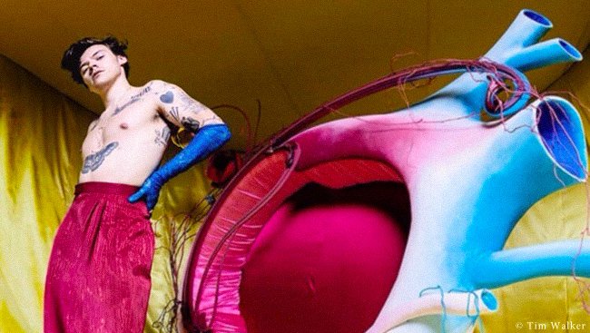 TheHSCharts's tweet image. 'Fine Line' by Harry Styles — Official Certifications:

Platinum:
🇺🇸 United States
🇦🇺 Australia
🇧🇷 Brazil
🇨🇦 Canada
🇩🇰 Denmark
🇲🇽 Mexico
🇳🇿 New Zealand
🇵🇱 Poland

Gold:
🇬🇧 United Kingdom
🇮🇹 Italy
🇳🇴 Norway