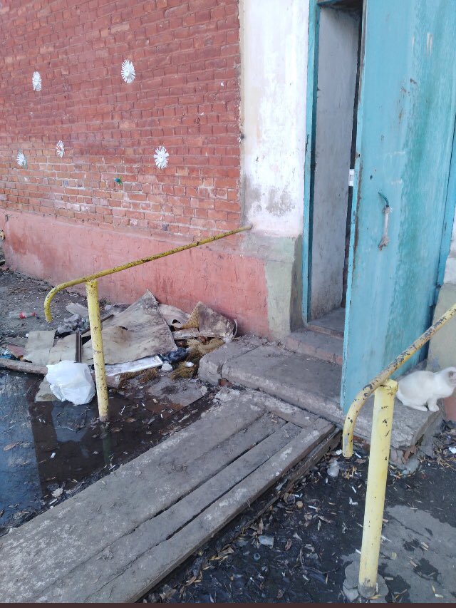 Öксана tweet media