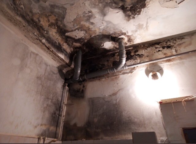 Öксана tweet media