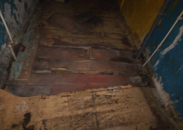 Öксана tweet media