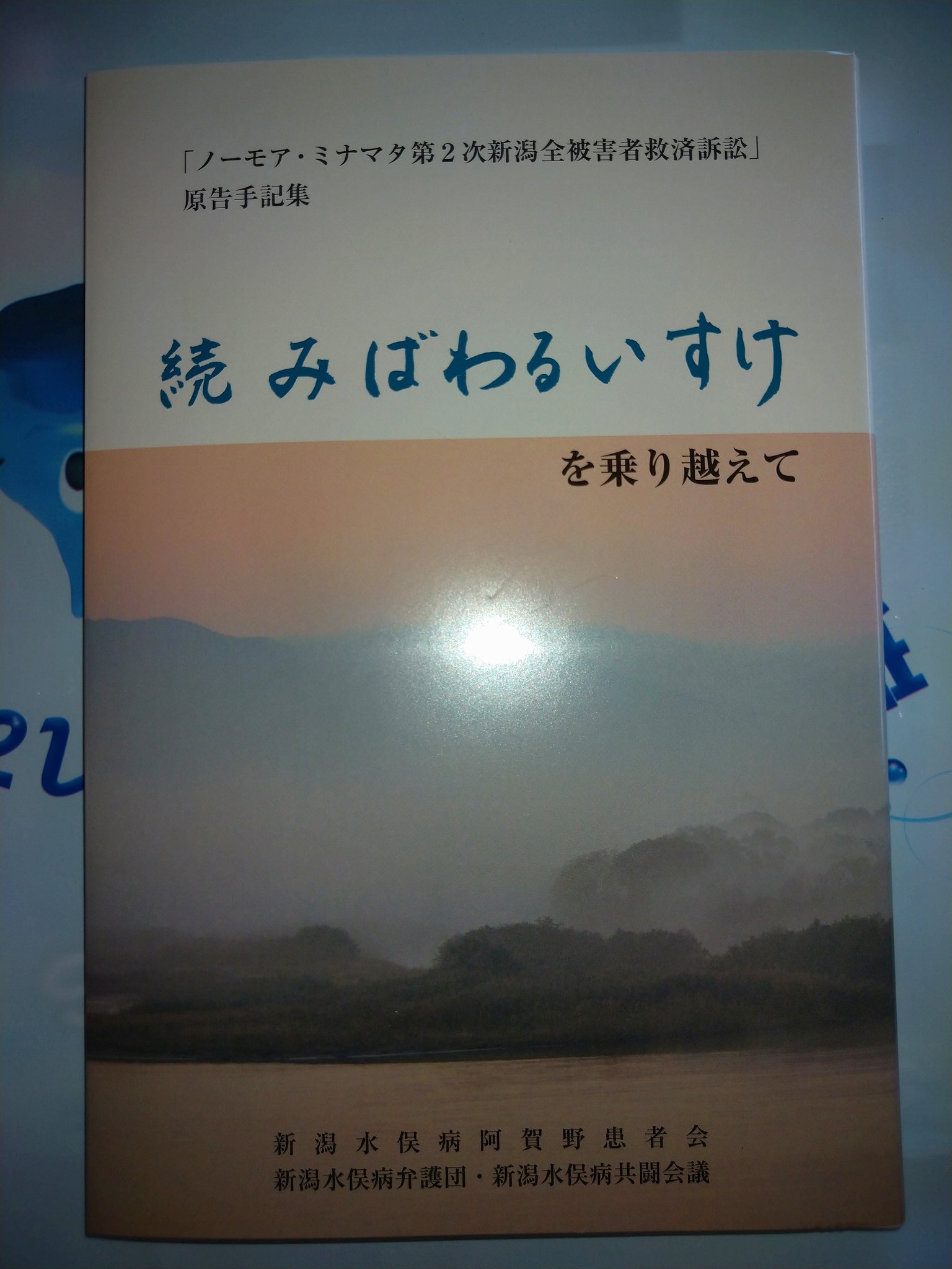 高橋 のぞみ On Twitter 環境と人間のふれあい館 新潟水俣病資料館 にやってきました 新潟水俣病の資料がいっぱいあるし 未認定患者問題や裁判での闘争についても学べます スタッフさんも親切でお優しかった 購入した本も読むのが楽しみです
