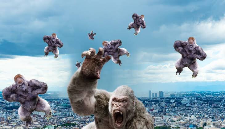 ゴリラゲイ雨 ツイレポ ゴリラゲイ雨 ツイレポ