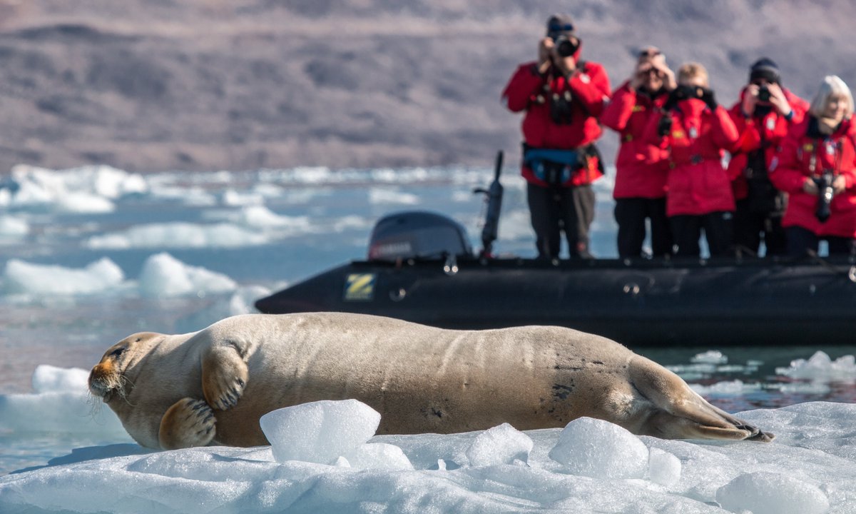 wanderlustmag's tweet photo. Looking to embark on a wild Arctic adventure without harming the environment?
This eco-friendly option could be your answer > https://t.co/k6MfDsmvBL
#ad #wlpo
@poseidonexp https://t.co/tnxhIcyj0q
