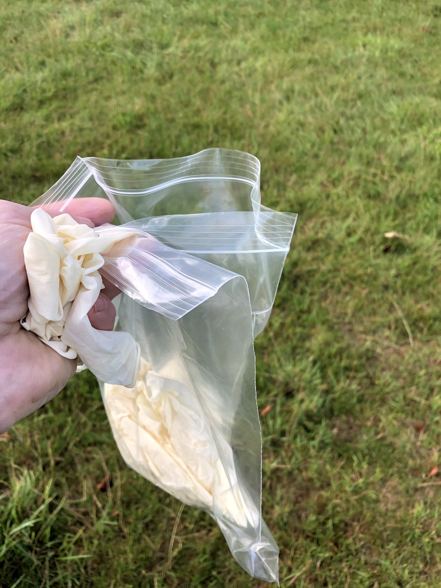 Childs295Greg's tweet photo. Come on pooh you little buggers, I need samples ๐ #sheep365 #wormcount #poohinabag #teamsheep https://t.co/jeWBAy2zDK