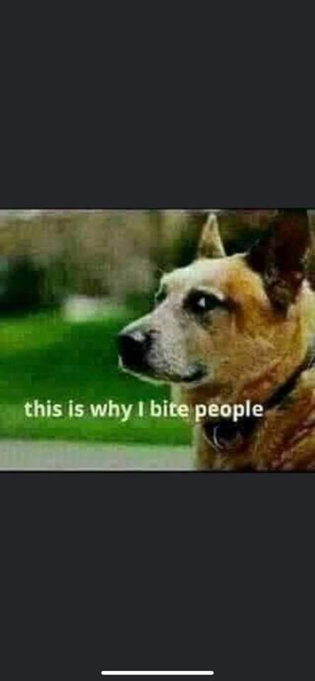 ByronAlpha's tweet image. #dumbposts