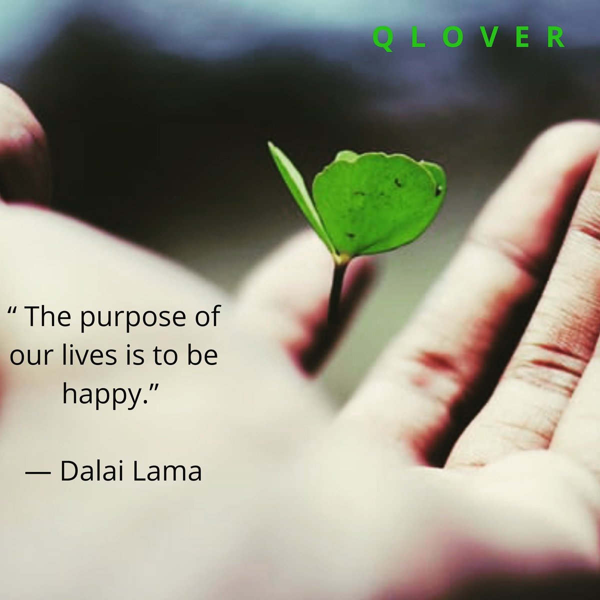 QloverM's tweet photo. A little reminder from Qlover.

Seek joy, stay happy.
After all, what's the essence of living if you ain't happy? https://t.co/80wCJBx7tG