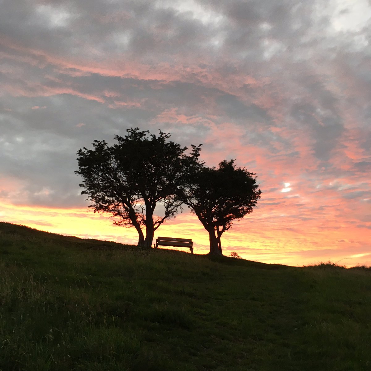 Beunos's tweet image. “It is a serious thing
just to be alive 
on this fresh morning 
in the broken world.”
(Mary Oliver)

Another glorious sunrise, in this fresh, serious, alive morning, on the hills surrounding St. Beuno’s. Blessings to you all for this new day. #goodtobealive