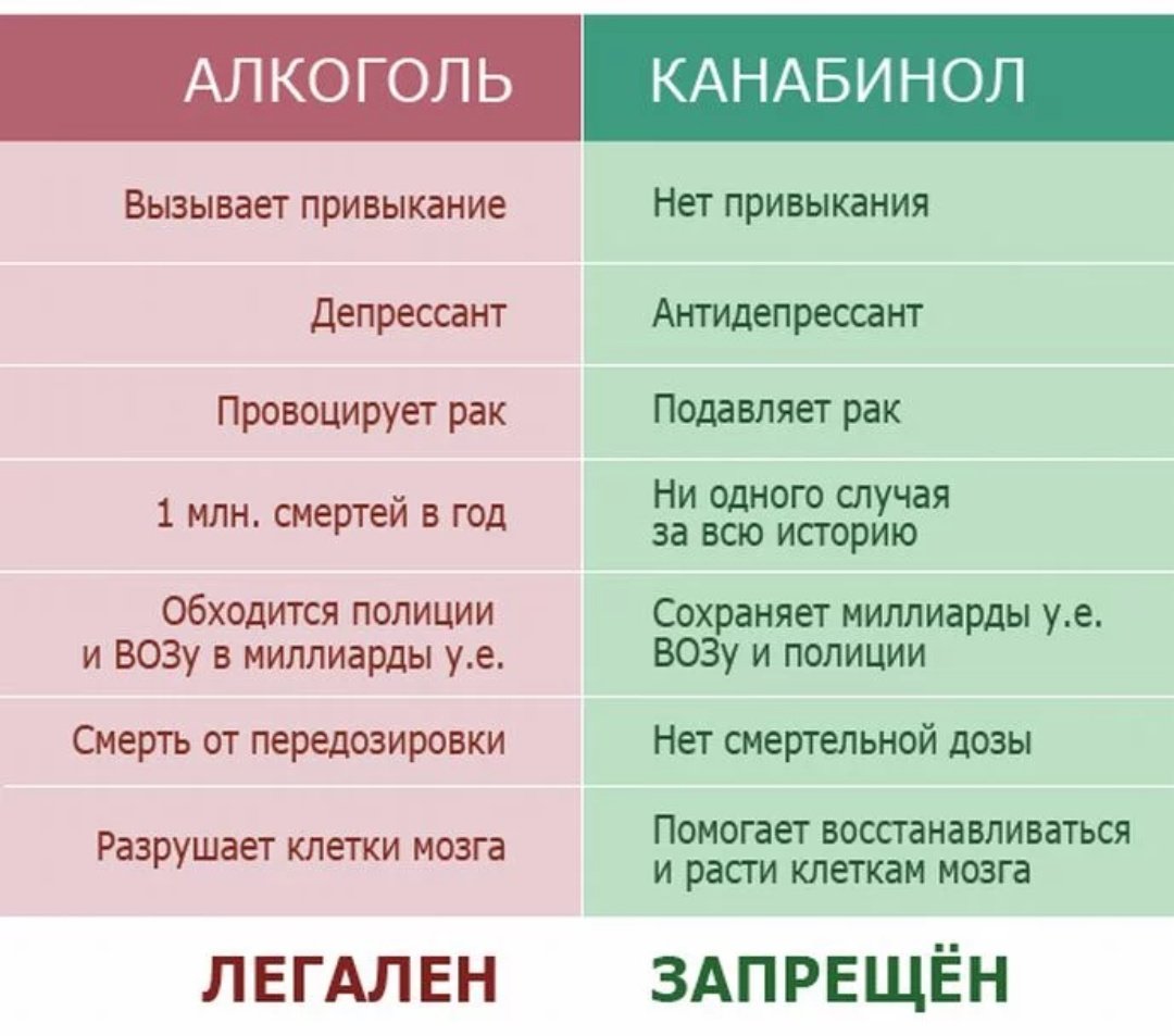 конопля вызывает ли зависимость конопля вызывает ли зависимость