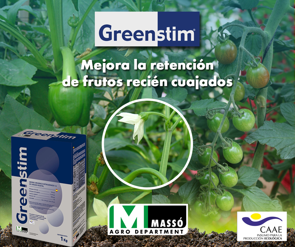 massoagro's tweet photo. #GREENSTIM®, a base de glicinabetaína natural actúa como osmorregulador, ayudando a la planta 🌱 a superar situaciones de estrés especialmente en el #cuajado 💥.
👉🏻 Su aplicación periódica reduce la pérdida de frutos recién cuajados.
Más información:
📍 https://t.co/0XZZNmCpAx https://t.co/ebmMfFbiaP