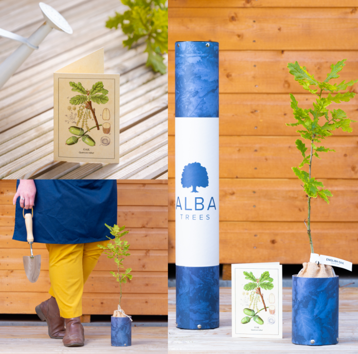 AlbaTrees's tweet photo. 🌰 From tiny acorns mighty oaks grow 🌰
Our Oak Tree is the perfect gift to commemorate a joyous occasion. From new babies to celebrating a recent retirement, get yours now: https://t.co/S3XEBUzGxG
#GiftTree #TreeofWisdom #gift #GiftIdeas #PersonalisedGift #ecofriendly https://t.co/rYV8Mw6ohS