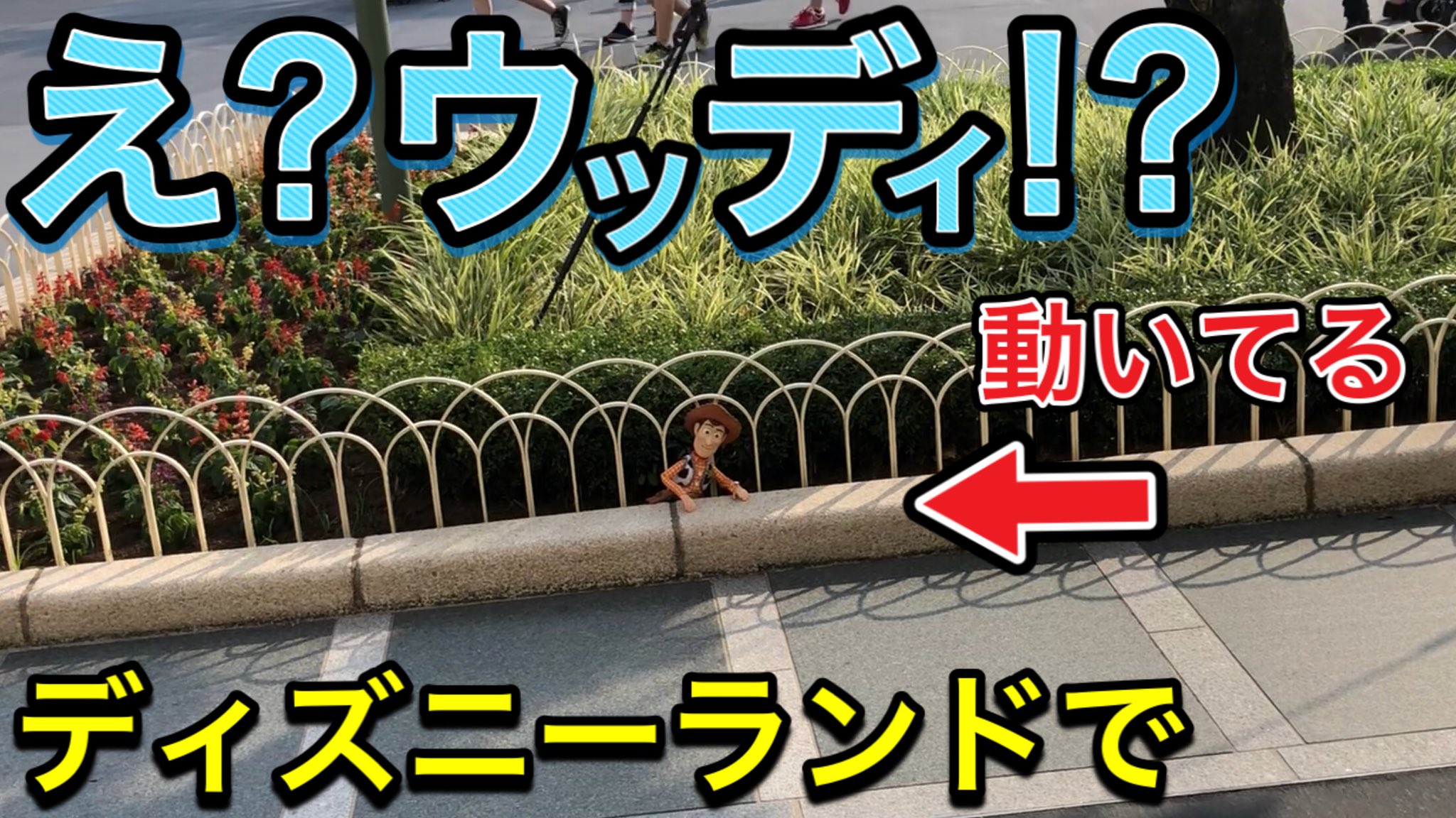 Shun 多くの目撃証言があったウッディ ディズニーランドにいました T Co Pcrilh9lvf 一瞬で逃げられてしまいましたがまた探しますよ 捕獲しないと大変です トイストーリー ウッディ ディズニーランド ディズニーシー 隠れミッキー