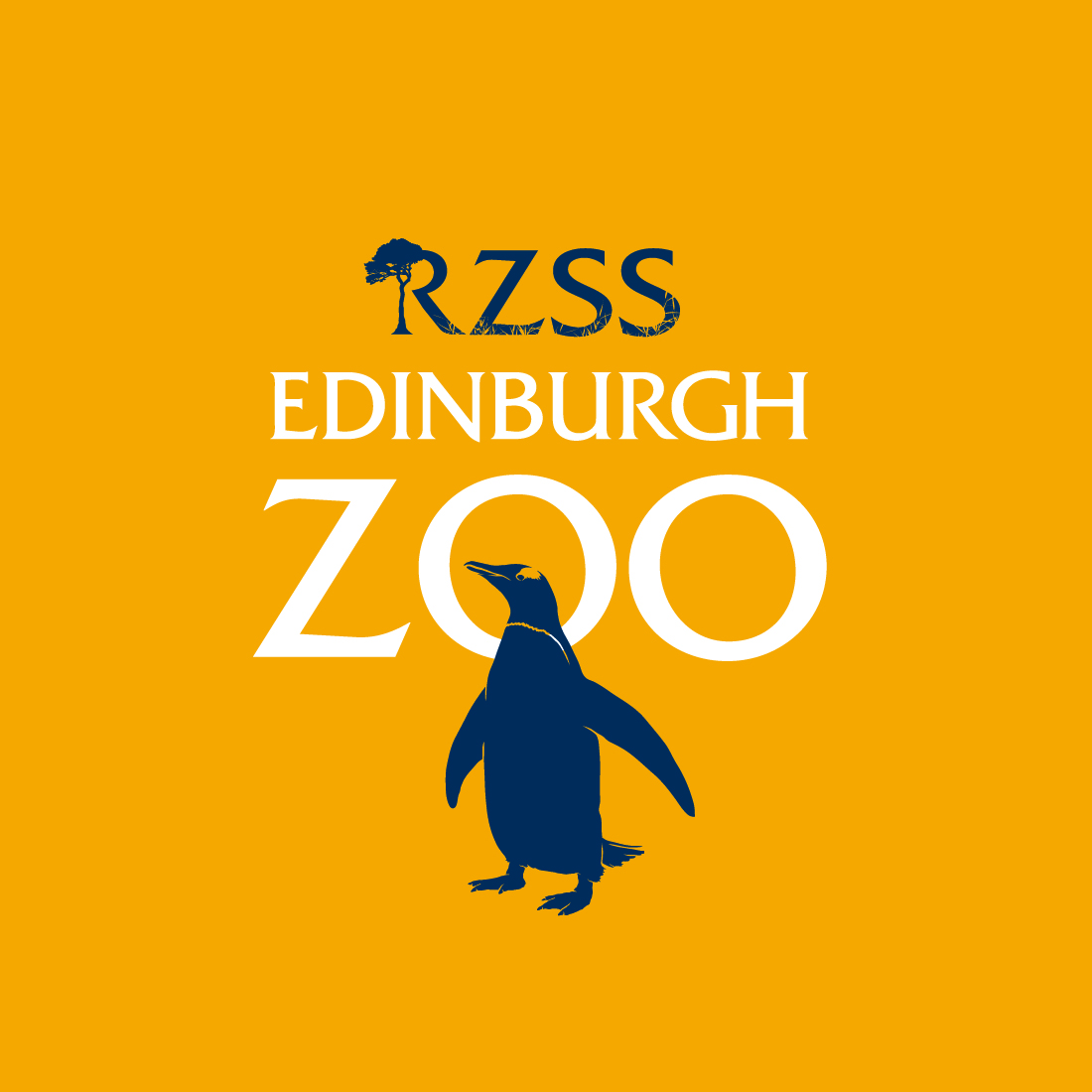 To help give inspiration for October school holiday breaks, we’ve teamed up with our lovely friends <a href="/EdinburghZoo/">Edinburgh Zoo</a>, to giveaway a family staycation to remember! Enter here to win an overnight stay and free family tickets to Edinburgh Zoo - bit.ly/2EUIA5U