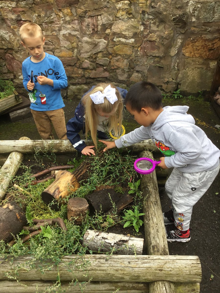 SchoolLiberton's tweet photo. The children have been exploring mini-beasts for a period of time. They are learning about the habitats that spider, slaters, beetles live in. Some children have created a mini-beast garden, and we hope to fill this up with different plants and flowers. #qualityelc @PlayScotland https://t.co/LtJkZ7qs8b