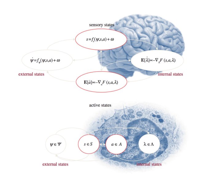 However, many have been enticed by the idea that a whole host of natural phenomena - from brain to bacterium - can be thought of as prediction-making error-minimising systems. These accounts stress there is no essential difference between beliefs and desires.