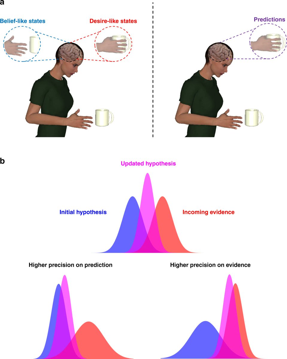 While this way of thinking could unify the mind and life sciences, abandoning beliefs & desires may limit our ability to explain cognition & behaviour in health and disease. For example, precision-weighting can't currently solve how one predictive model acts in both 'modes'.