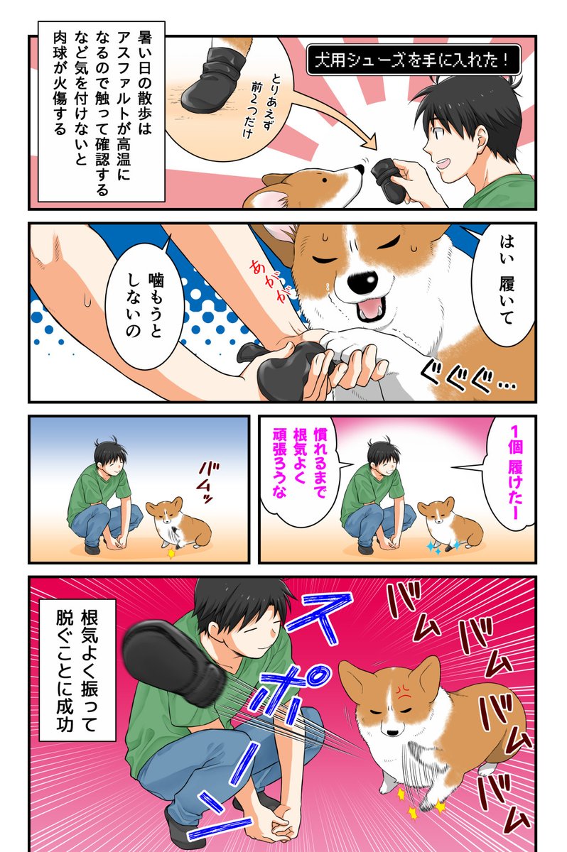 違う方向に頑張っちゃう犬 