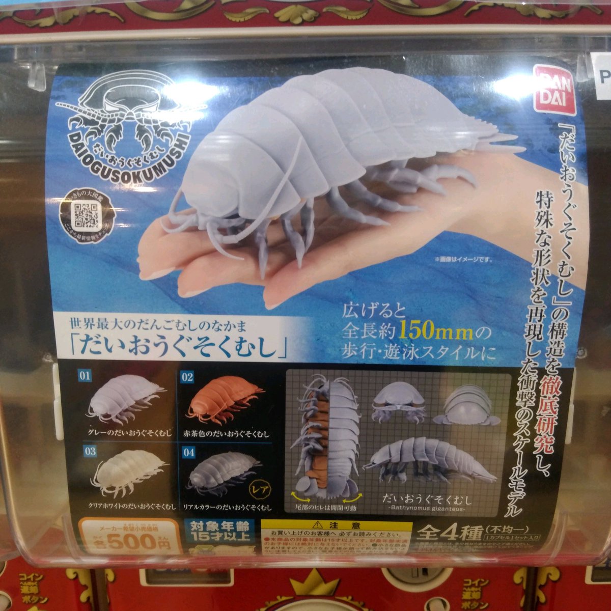 ガチャ王国広島店 On Twitter 完売 再入荷 バンダイ ガシャどこ Plus対応機 世界最大のだんごむしのなかま だいおうぐそくむし 広げると 全長約150mmの歩行 遊泳スタイルに ガチャ ガチャガチャ 広島 Hiroshima 本通 だいおうぐそくむし