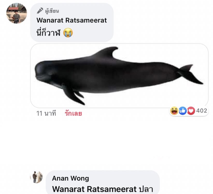 War: This is a whale too Yin: A fish