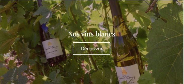 itiConseil's tweet photo. 🍇 En cette période de vendanges, nous avons une pensée pour nos clients vignerons et en particulier pour Vignoble Dauny, dont l'agence a effectué la refonte de son site internet. 🍷
➡️ https://t.co/oNSpNotAqz

L'abus d'alcool est dangereux pour la santé. https://t.co/AvOBTA1HuT