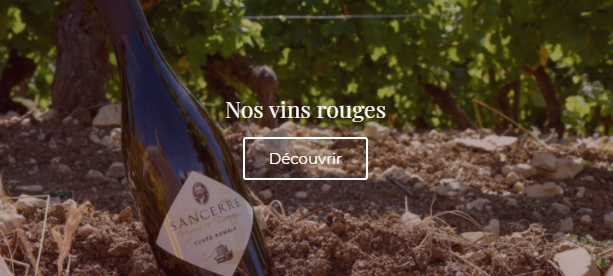 itiConseil's tweet photo. 🍇 En cette période de vendanges, nous avons une pensée pour nos clients vignerons et en particulier pour Vignoble Dauny, dont l'agence a effectué la refonte de son site internet. 🍷
➡️ https://t.co/oNSpNotAqz

L'abus d'alcool est dangereux pour la santé. https://t.co/AvOBTA1HuT