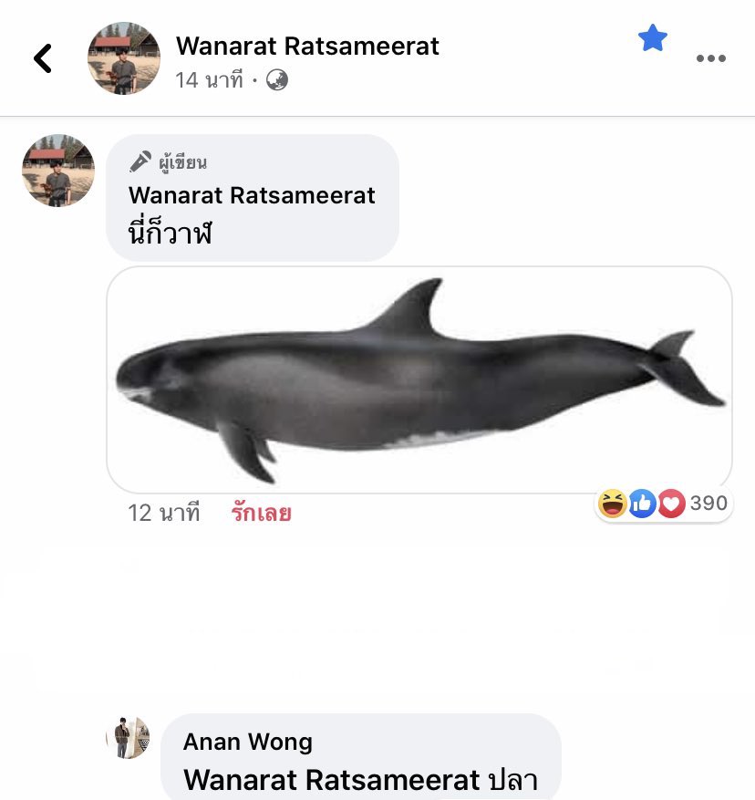 War: This is also a whaleYin: A fish