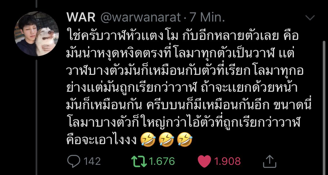 War: Yes krab, the melon-headed whales and some other whales. I find it frustrating how all dolphins are whales, but some whales look so close to dolphins and are still called ‘whales’. If they want to distinguish them from their head shape, they are the same. (+)