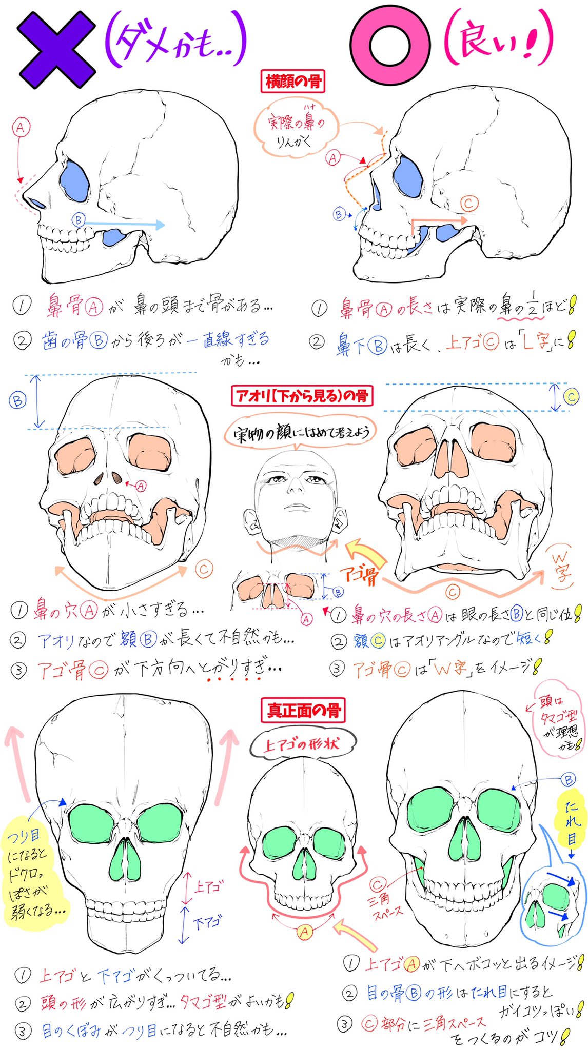 吉村拓也 イラスト講座 Su Twitter 骸骨の描き方 骨の角度やドクロ絵 が上達する ダメかも と 良いかも
