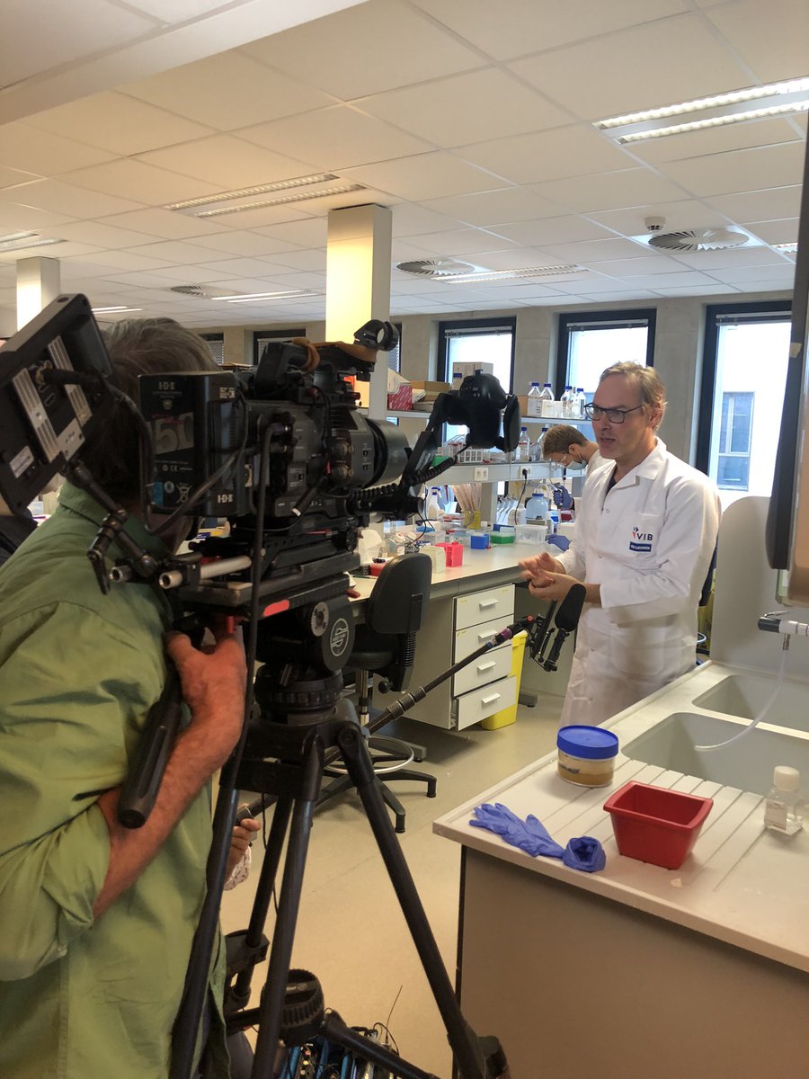 ingrid_arijs's tweet image. Movie day @LambrechtsDlab with @Samen_tg_Kanker