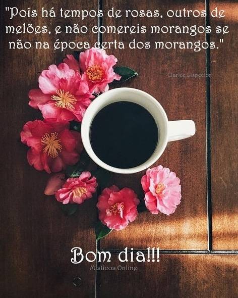 Místicos Online - Bom dia!!!🌺🌺🌺