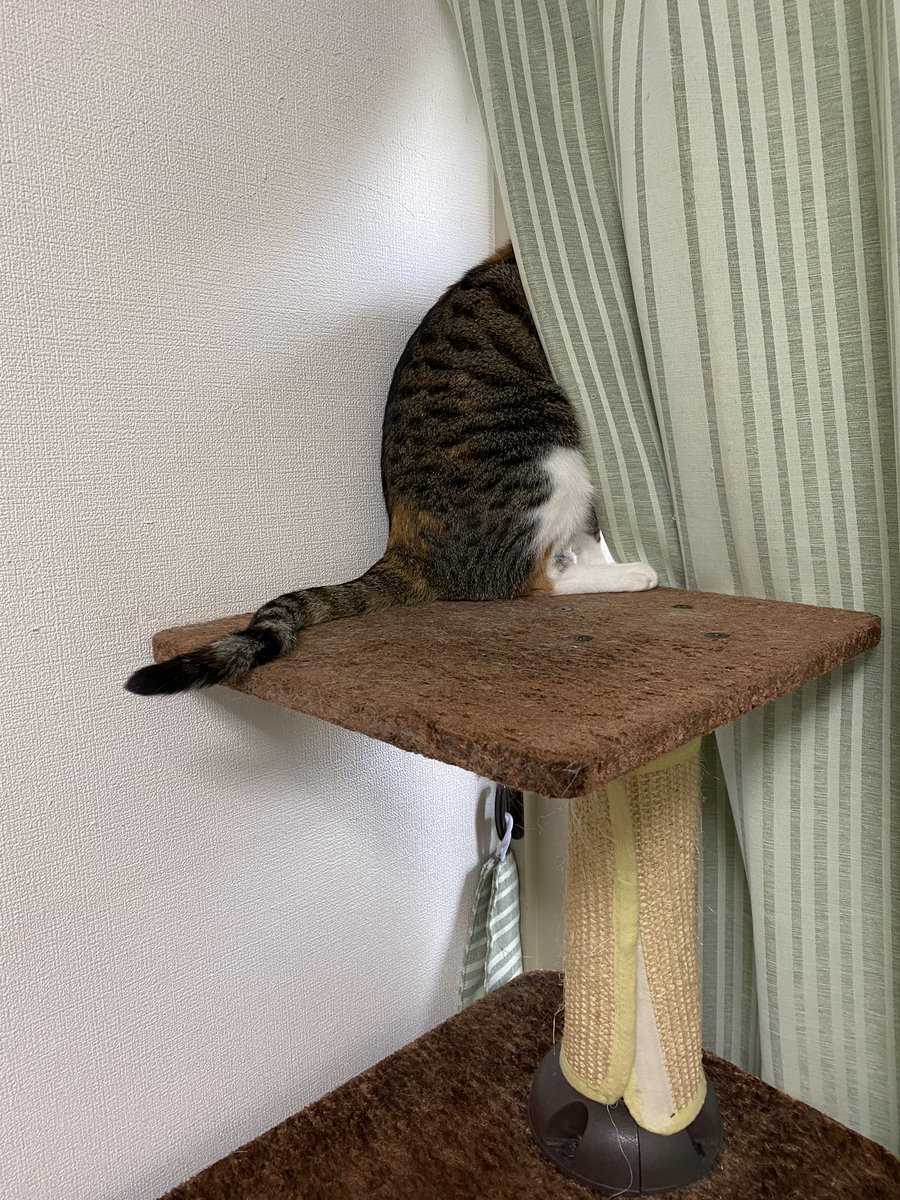覗き見 覗き見