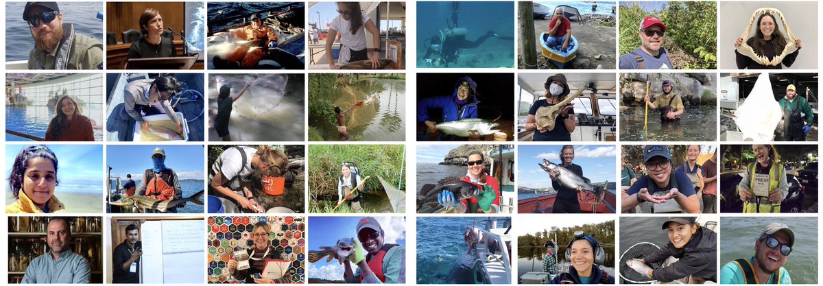 THANK YOU everyone for the FINtastic and overwhelming response to sharing the diversity in fish science!This makes me SO happy and I hope you’ve found new people as well. Please continue to share, these are *only* 128 of the many faces!