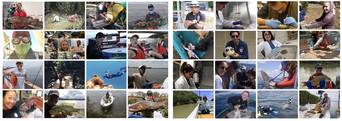 THANK YOU everyone for the FINtastic and overwhelming response to sharing the diversity in fish science!This makes me SO happy and I hope you’ve found new people as well. Please continue to share, these are *only* 128 of the many faces!