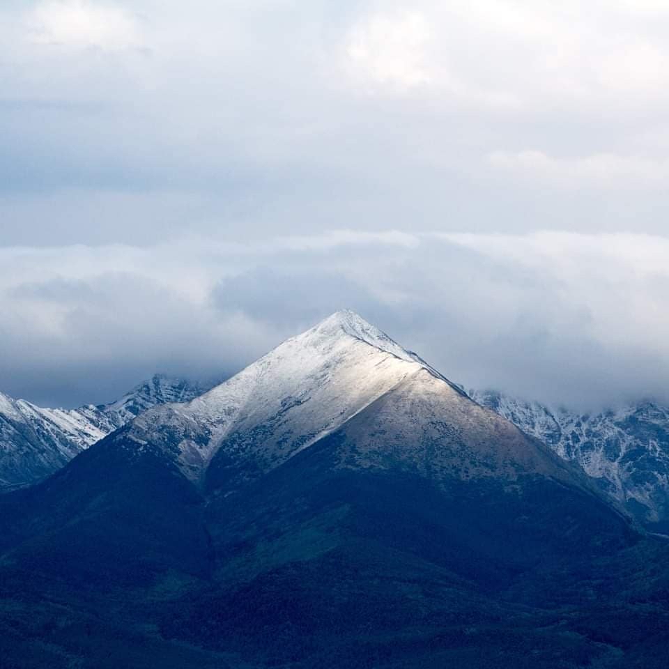 Visit Colorado tweet media