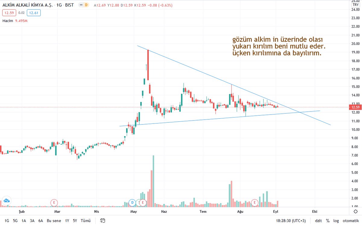 yatırım tavsiyesi olmadan #ALKIM in dikkatle izlenmesi gerektiğini düşünüyorum.