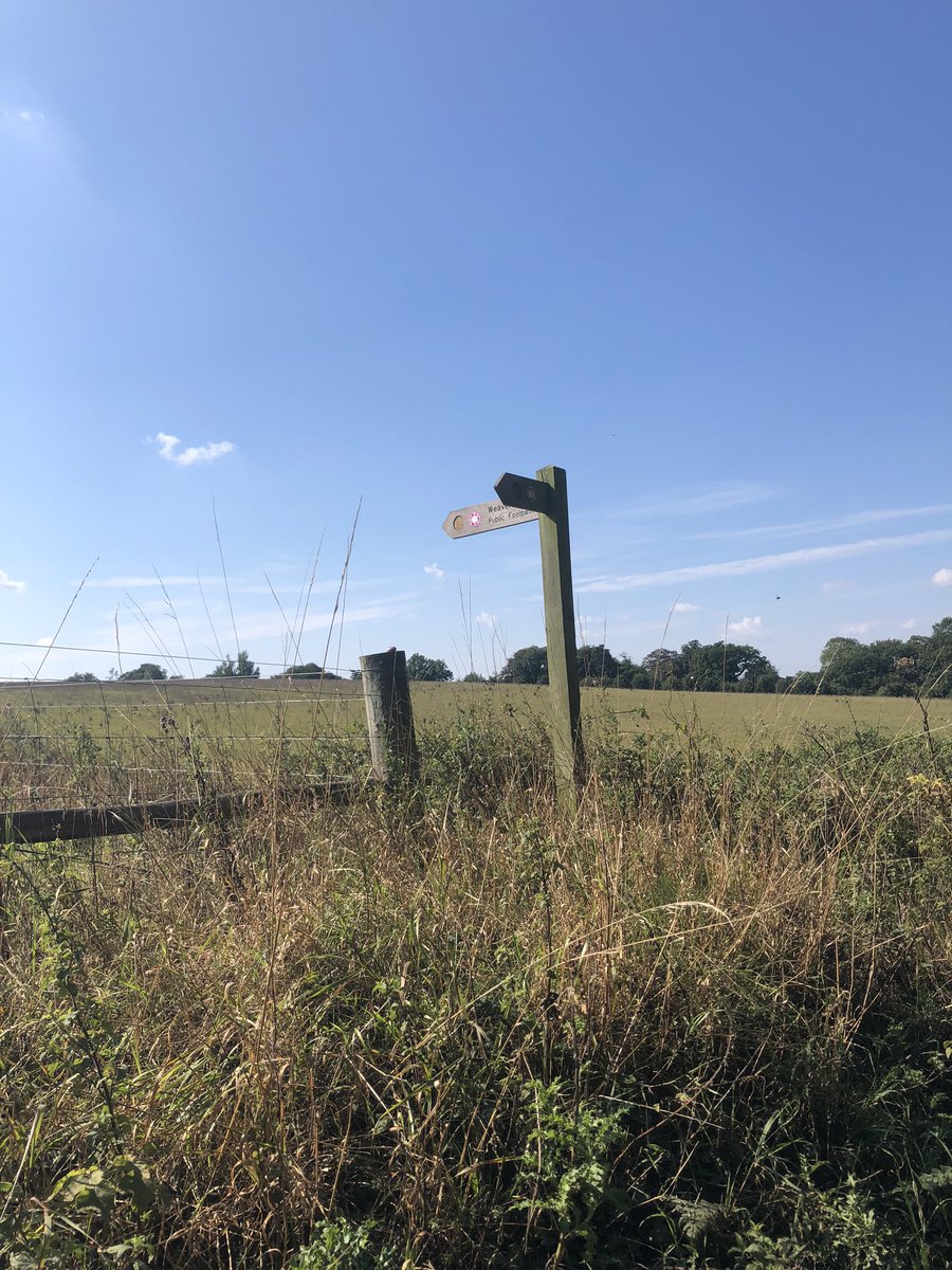 PopsRoo's tweet image. Hidden some stones on a little walk today. Wonder where they will end up??? #Norfolk #Aylsham #NorthNorfolk #NorfolkRocks #LadyBug #weaversWay