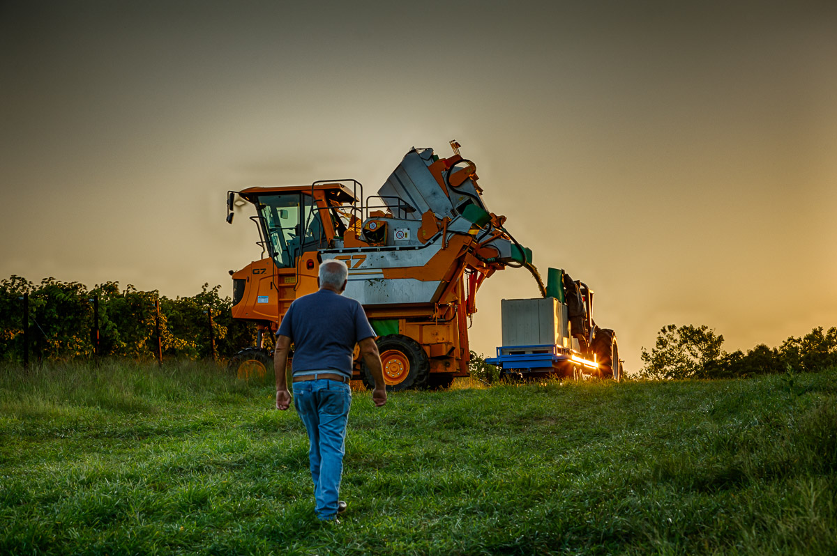 A Labor of Love! Harvest season has arrived and for over 30 years - it's worth the work! Read about it in this week's newsletter!#AugustaWinery #AugustaAVA #siplocal #laboroflove #worhtthework #MOWineMonth #MOWines #harvestseason conta.cc/2QPAkqQ