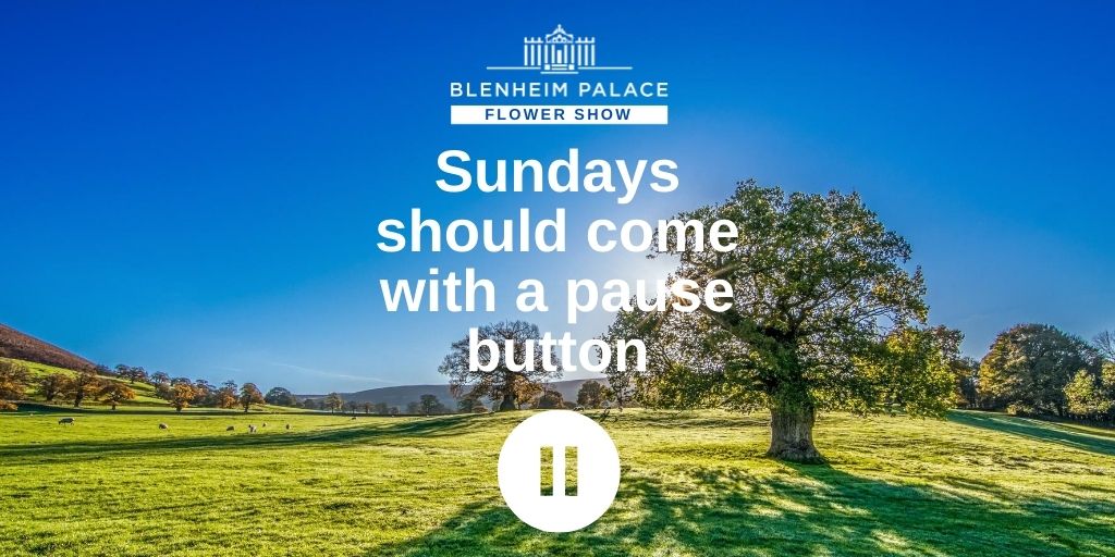 Let's all take a deep breath and hit pause together ⏸ blenheimflowershow.co.uk #sundayvibes #SundayThoughts #pause