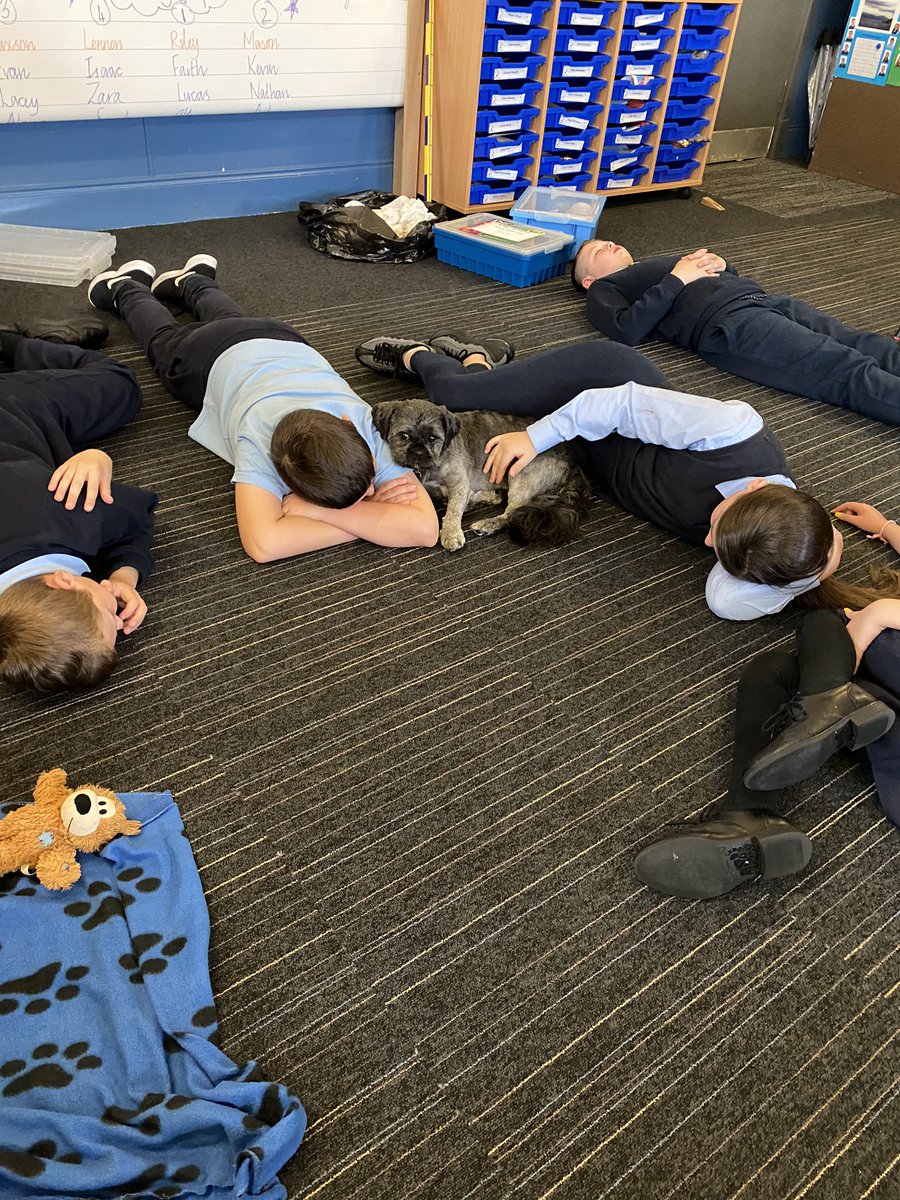WellshotPrimary's tweet photo. Hamish settled in nicely to P6/5 during massage & relaxation time today. Didn’t take him long to unwind #wellbeing #SelfCareSeptember #friendship #values #cleanhands #classbubble @GlasgowNurture @MISA_Int https://t.co/uMkWdzlo8N
