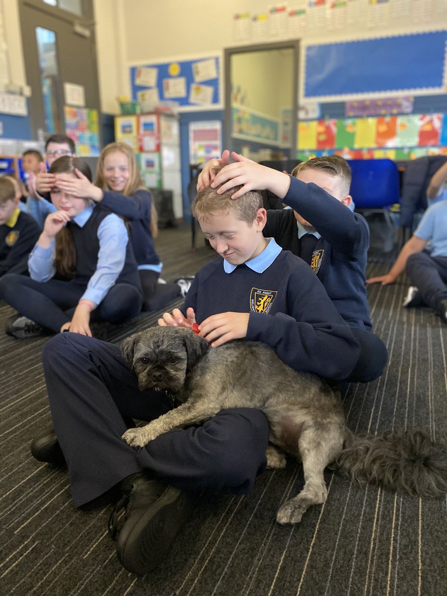 WellshotPrimary's tweet photo. Hamish settled in nicely to P6/5 during massage & relaxation time today. Didn’t take him long to unwind #wellbeing #SelfCareSeptember #friendship #values #cleanhands #classbubble @GlasgowNurture @MISA_Int https://t.co/uMkWdzlo8N