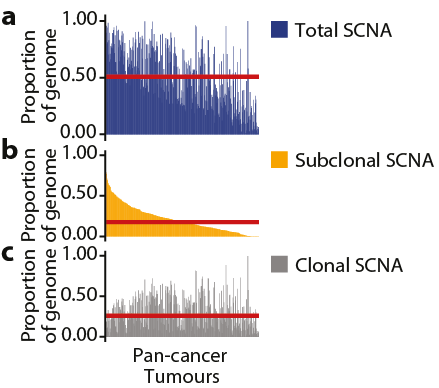 7/24 - Clonal (grey) and subclonal (orange) SCNAs were observed across the genome. A median of 26% of the genome was subject to clonal SCNAs and 18% to subclonal. 45% of tumours harboured subclonal SCNAs in >20% of the genome suggesting that CIN is ongoing and pervasive.