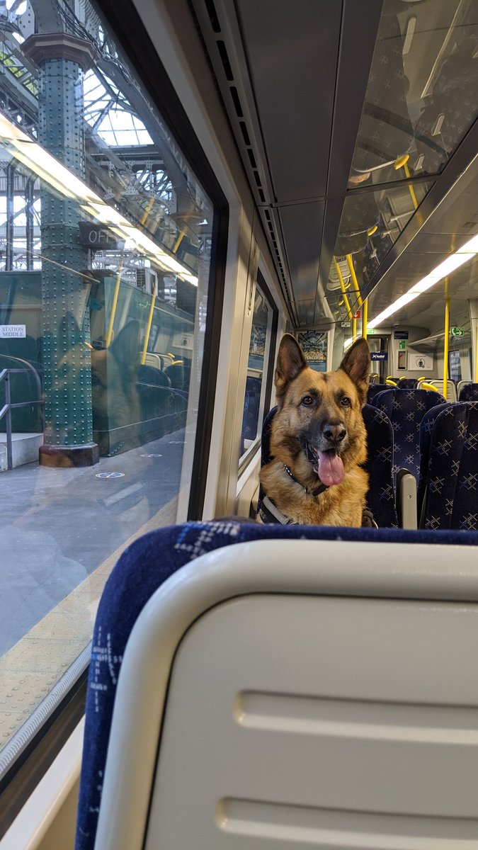 Don't want to be a grass, but there's a passenger without a mask on <a href="/ScotRail/">ScotRail</a> 😷