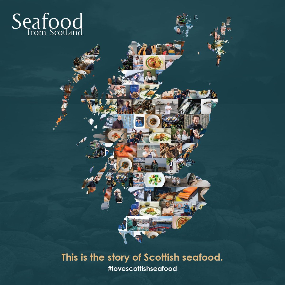 Seafood From Scotland tweet media