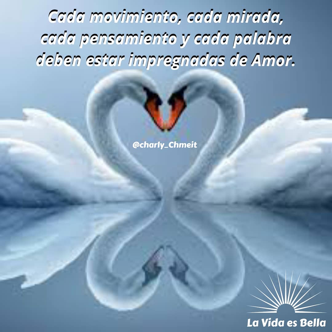 Conciencia interior on Twitter: Conciencia interior on Twitter: