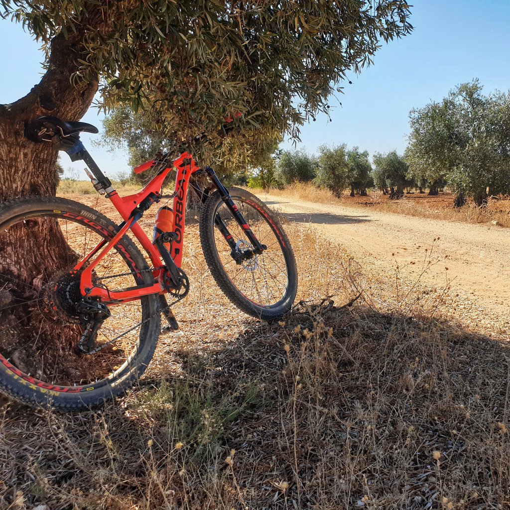 GF_series's tweet image. ➖Entre llanuras y olivos rodamos por Ocaña, localidad que tanto amamos..

➖Pedaleamos por su Mesa, Tierras de Don Quijote.

#siempreFuertesSiemprePositivos #GF8000 #GranFondo8000 #MarchasCiclistas #marchasmtb #ciclodeportiva #todosaldrabien #motivación #ciclismo #cycling #mtb