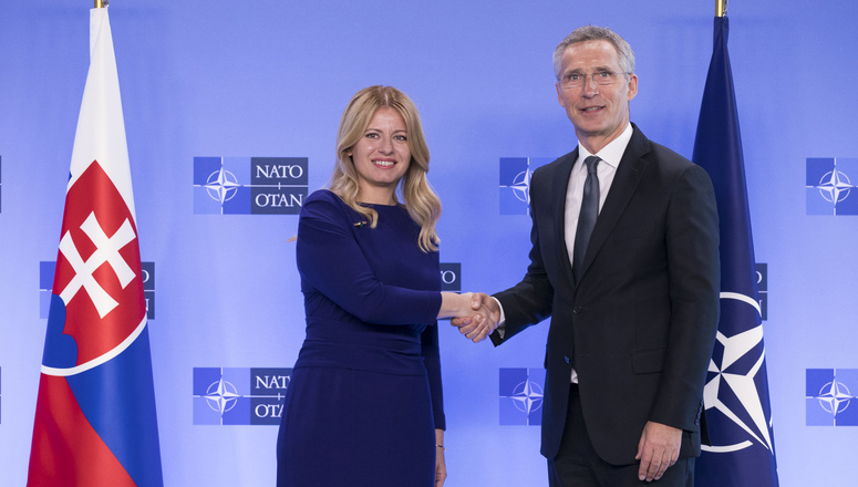 Slovakia became NATO’s member in 2004. At the end of 2008, the Slovak Republic deployed 551 soldiers of which 313 were in three NATO-led operations, 199 in two UN-led missions and 39 in one EU-led operation.