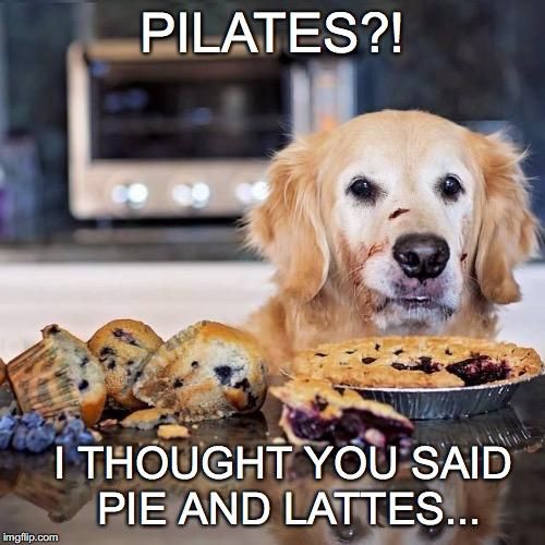 3DUltimateNotts's tweet photo. We are still live on Zoom Thursday nights at 7pm 🤸

Pilates is a great way to get in shape and improve posture, muscle tone, balance and joints.

Send us a message for the zoom link and how to make payments.
#pilates #pilateszoom #pilatesathome #livepilates https://t.co/3PvNye9ihC