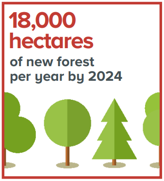 scotforestry's tweet image. As part of our green recovery, Scotland is scaling up its ambition on tree planting to help meet our climate change ambitions. We are upping our woodland creation targets by 20% and intend to plant 18,000 hectares of trees by 2024/25. #ScotPfG #climatechange