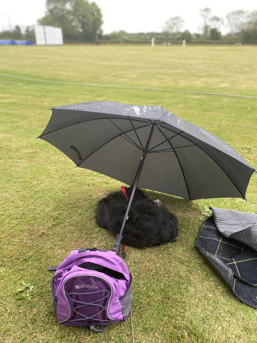 Stephanie Bates tweet media