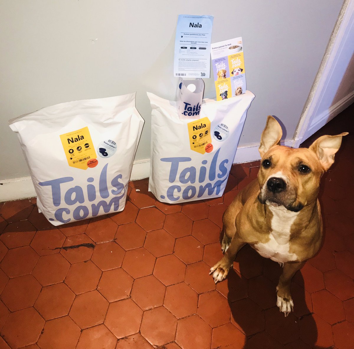 testeuseelodie's tweet photo. Bonjour sélectionner par @theinsidersfrance Insiders pour les croquettes @tails.com_fr pour Nala ou j’ai eu 1 mois offert plus de 13kg de croquette juste payer les frais de livraison 2€ si vous voulez j’ai 4 bon  vous avez un mois offert vous payer juste 1€de frais de livraison https://t.co/kMxO7BwGpE